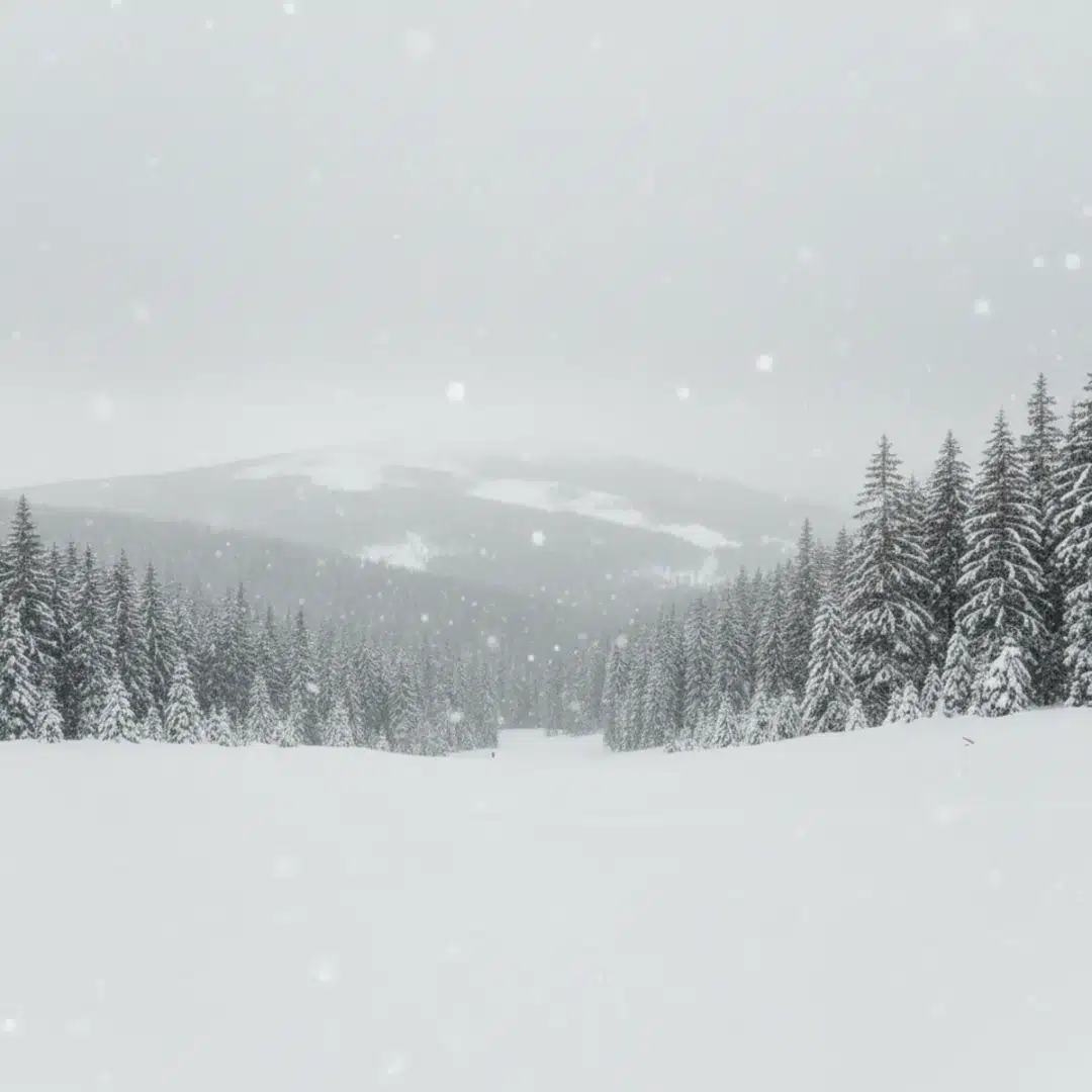 Szerkesztőségi fotó a havazásról, havas táj és hóesés ábrázolásával